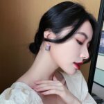 Han Eleven S925 Stud Earrings –  Korean Elegant Trendy Ear Jewelry - Image 8
