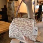 Hello Kitty Kyoto Limited Edition Coin Purse Handbag - Image 2