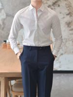 Men’s Wrinkle-Resistant Striped Shirt – Korean Style Hidden Button Smart Casual Dress Shirt