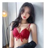 Sweet cream Japanese embroidered lace push-up no wire bra