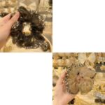 Organza Rhinestone Scrunchie - Image 4
